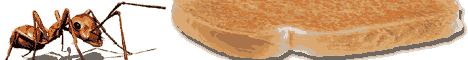 Ad Banner Ad Banner