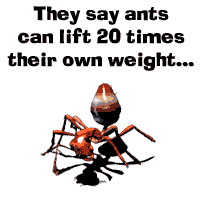 Ad Box Ad Box