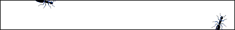Banner Ad