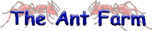The Ant Farm Title Graphic