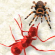 Ants want to take over the Internet.