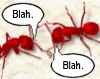 Blah!
